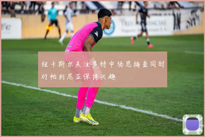 纽卡斯尔关注多特中场恩梅查同时对帕利尼亚保持兴趣