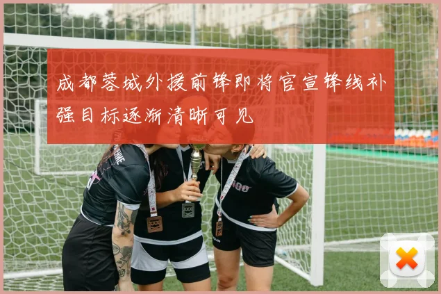 成都蓉城外援前锋即将官宣锋线补强目标逐渐清晰可见